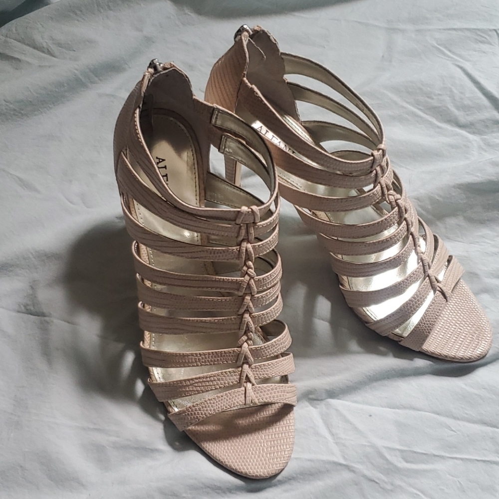 Alfani shoe